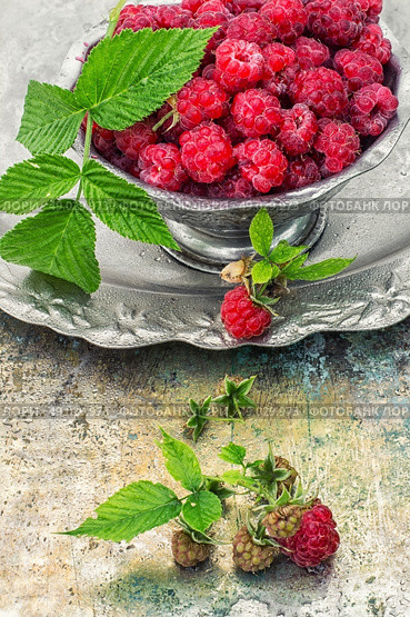 raspberries. Plucked raspberries in vintage iron ramekin.Photo tinted.Selective focus. Стоковое фото, агентство Ingram Publishing / Фотобанк Лори