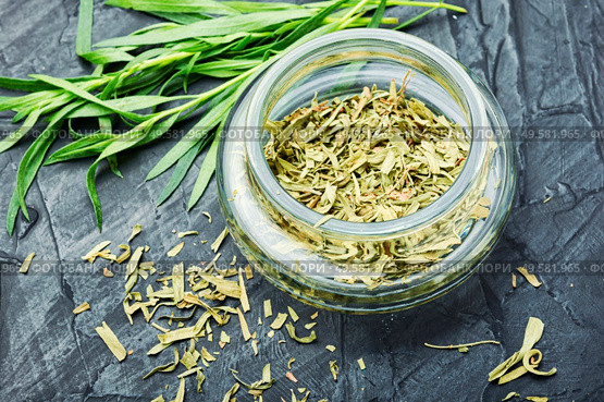 Raw and dry tarragon spice.Tarragon or Artemisia dracunculus. Fresh and dry tarragon. Стоковое фото, агентство Ingram Publishing / Фотобанк Лори