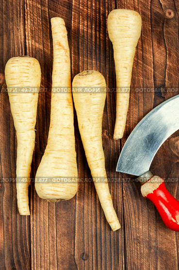 Raw and uncooked parsnips roots on old rustic wooden table. Fresh vegetable.. Raw parsnip roots on wooden table. Стоковое фото, агентство Ingram Publishing / Фотобанк Лори