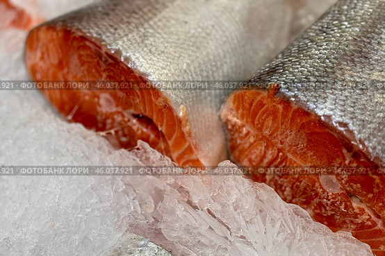 Raw steaks of fresh trout lie on shallow ice at the seafood market. An open shelf at the fish market. Стоковое фото, фотограф worker / Фотобанк Лори