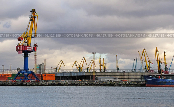 Разгрузочный терминал в порту (2019 год). Редакционное фото, фотограф Ольга Дмитренко / Фотобанк Лори