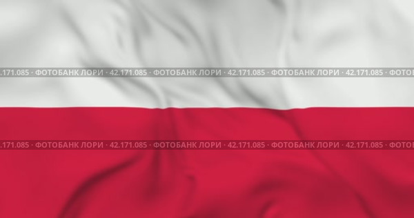 Развевающийся флаг Польши, бесшовная анимация в 4к. Waving flag of Poland. 3d seamless animation in 4k resolution video. Стоковая анимация, аниматор Александр Кузнецов / Фотобанк Лори