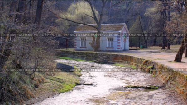 Речка Ольховка в городе Кисловодске. Стоковая анимация, аниматор Parmenov Pavel / Фотобанк Лори