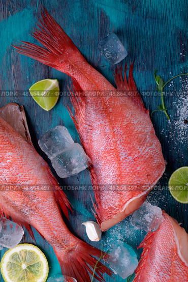 Redfish or perch with other ingredients and ice around on the blue table. Top view. Cooking with frozen fish. Стоковое фото, фотограф Оксана Чаюн / Фотобанк Лори