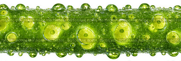 Refreshing green lime slices in carbonated water with bubbles. Стоковое AI-изображение, AI-художник Мария Фадеева / Фотобанк Лори