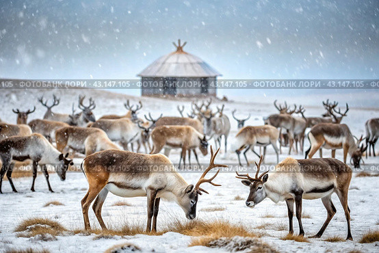 Reindeer graze against the background of a tundra landscape and a winter yurt. Snow is falling. Snowstorm. Стоковое AI-изображение, AI-художник Photojuli / Фотобанк Лори