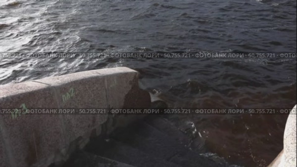 Река. Стоковое видео, видеограф Клопотовская Мария / Фотобанк Лори