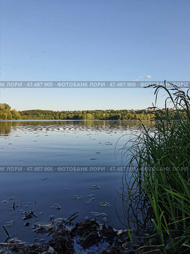 Река "Десна". Брянск. Стоковое фото, фотограф Екатерина Козлова / Фотобанк Лори