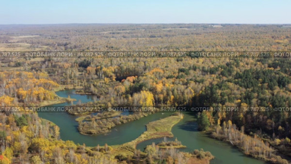 Река Коён под Новосибирском, вид сверху / Aerial video of meanders of the Koen river. Beautiful autumn landscape from above. (2020 год). Стоковое видео, видеограф Сергей Пристяжнюк (Serg Zastavkin) / Фотобанк Лори