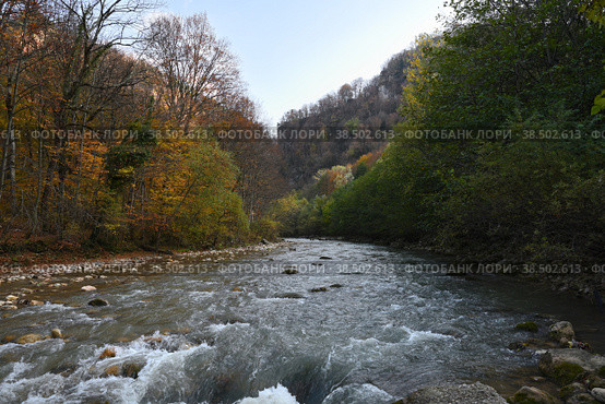 Река Курджипс осенью, хутор Гуамка, Краснодарский край. Стоковое фото, фотограф Садовский Анатолий / Фотобанк Лори