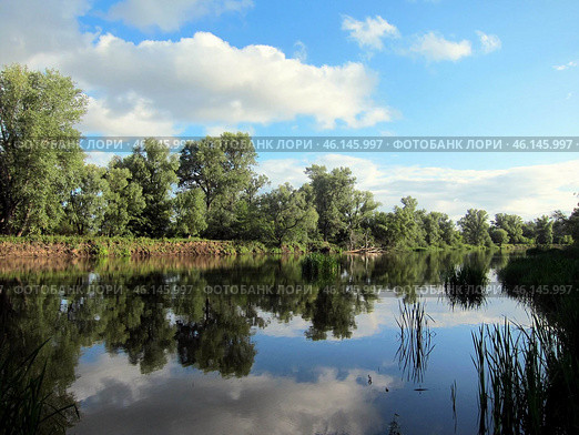 Река Сок. Стоковое фото, фотограф Светлана Кириллова / Фотобанк Лори