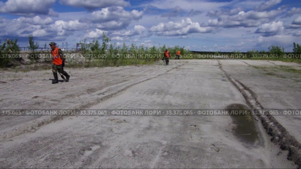 Рекультивация участка добычи нефти. Посадка саженцев сосны. Reclamation of an oil production site. Planting pine seedlings. (2015 год). Редакционное видео, видеограф Евгений Романов / Фотобанк Лори