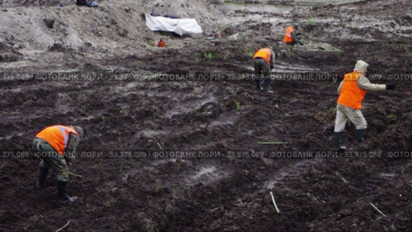 Рекультивация участка нефтедобычи. Высадка саженцев ивы. Reclamation of an oil production site. Planting willow seedlings. (2015 год). Редакционное видео, видеограф Евгений Романов / Фотобанк Лори