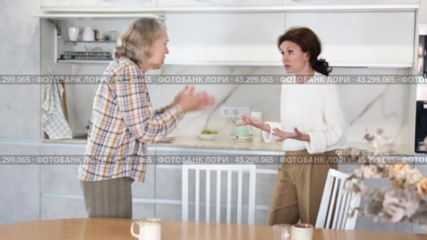 Relatives quarrel in the kitchen - an adult daughter quarrels with an elderly mother. Стоковое видео, видеограф Яков Филимонов / Фотобанк Лори