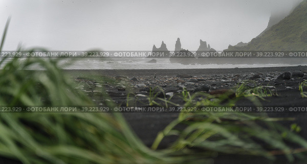 Reynisfjara black sand beach and Reynisdrangar basalt sea stacks on story day, Vik, Iceland (2020 год). Стоковое фото, фотограф Igor Tichonow / Фотобанк Лори