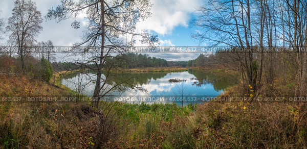 river flows in the forest late autumn. Стоковое фото, агентство Ingram Publishing / Фотобанк Лори