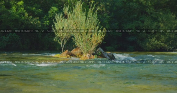 River plants grow on small rocky island surrounded by shallow current in Croatian nature park. Стоковое видео, видеограф Igor Tichonow / Фотобанк Лори