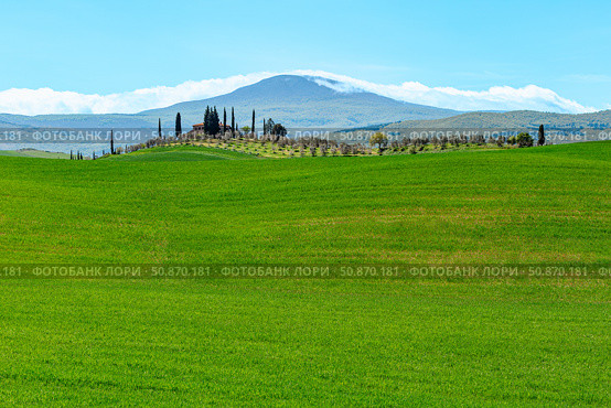 Rolling green hills with cypress trees and a distant mountain landscape in Tuscany. Стоковое фото, фотограф Татьяна  Бральнина / Фотобанк Лори