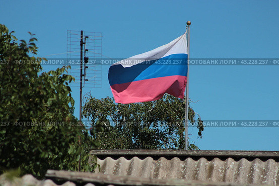 Российский флаг над крышами развевается на ветру на фоне голубого неба и деревьев. Стоковое фото, фотограф Ирина Григорьева / Фотобанк Лори