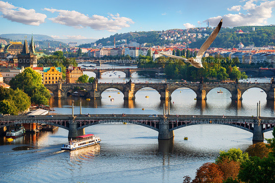 Row of bridges in Prague at summer day. Стоковое фото, агентство Ingram Publishing / Фотобанк Лори