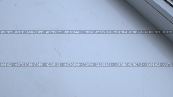 Рука в оранжевой перчатке протирает губкой подоконник. Концепция домашней уборки. Мытье окон. Стоковое видео, видеограф Воловодов Владимир / Фотобанк Лори