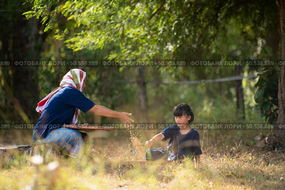 Rural life of Thai farmers More than 70% have to live on farming. Sifting rice with baskets that farmers are doing as shown in the picture is a method of separating rice from the husk. Стоковое фото, агентство Ingram Publishing / Фотобанк Лори
