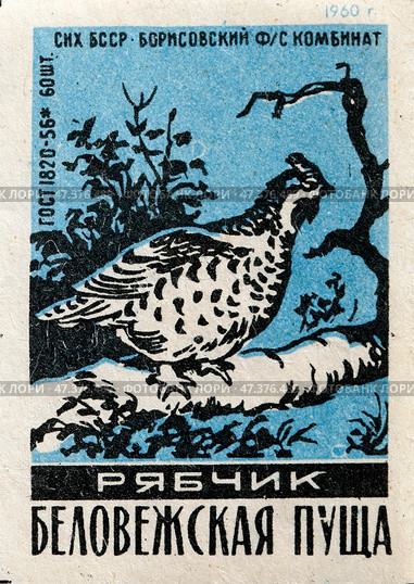 Рябчик. Серия: Беловежская пуща. Спичечные этикетки СССР. 1960. Редакционное фото, фотограф Сергей Афанасьев / Фотобанк Лори
