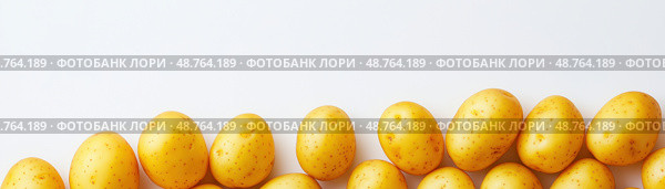 Ряды свежего молодого картофеля. Стоковое AI-изображение, AI-художник Александр Жуков / Фотобанк Лори