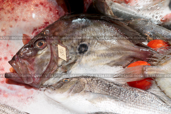 Рыба-солнечник (John Dory) на прилавке уличного рыбного рынка в Стамбуле, Турция. Стоковое фото, фотограф Федор Кондратенко / Фотобанк Лори