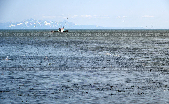 Рыбацкий баркас в море. Стоковое фото, фотограф Юрий Смитюк / ТАСС / Фотобанк Лори