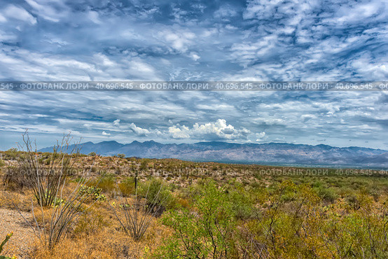 Saguaro National Park, landscape with cloudy sky (2016 год). Стоковое фото, фотограф Анна Кривицкая / Фотобанк Лори