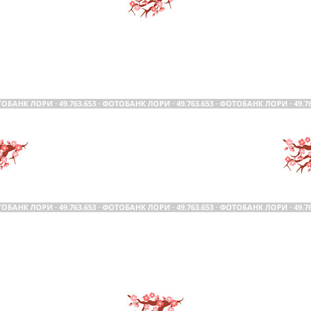 Sakura pattern vector illustration. The continual blooming sakura flowers represented everlasting cycle life and renewal The seamless sakura pattern concept explored interplay between nature and human. Sakura pattern. The floral design featured seamless pattern sakura blossoms. Стоковая иллюстрация, агентство Ingram Publishing / Фотобанк Лори