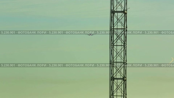Самолет подлетает к аэропорту. Стоковое видео, видеограф Игорь Жоров / Фотобанк Лори