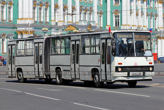 Санкт-Петербург. Парад ретро-автобусов. Городской автобус Икарус 280 (2016 год). Редакционное фото, фотограф Александр Тарасенков / Фотобанк Лори