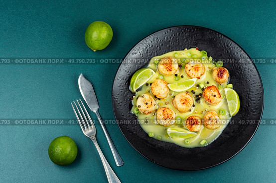 Scallops plated elegantly with a basil creamy sauce. Sea scallop fresh seafood fried. Top view.. Seafood, roasted scallops. Стоковое фото, агентство Ingram Publishing / Фотобанк Лори