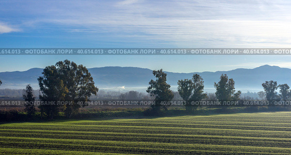 Scenic Tuscan landscape with beautiful fields, meadows and hills with morning fogs (2018 год). Стоковое фото, фотограф Анна Кривицкая / Фотобанк Лори