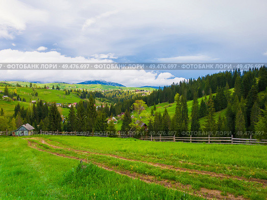 Scenic view of Carpathian mountains nature and acontry road leading to an old village of wooden cabins on the hills. Sunny spring day with green grass, flowering meadows and evergreen forests. . Стоковое фото, агентство Ingram Publishing / Фотобанк Лори