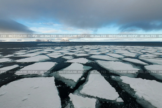 Sea ice in the Barents Sea near Franz Josef Land in summer. Стоковое фото, фотограф Vladimir / Фотобанк Лори