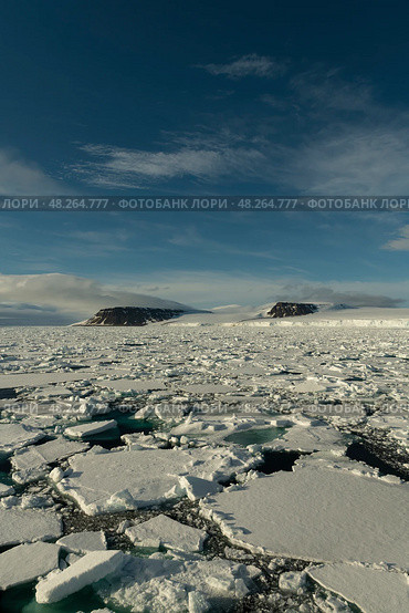 Sea ice in the Barents Sea near Franz Josef Land in summer. Стоковое фото, фотограф Vladimir / Фотобанк Лори
