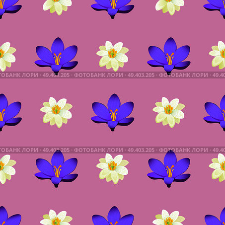 Seamless pattern with crocus meadow flower blossom isolated on purple background. Endless texture with tender flowers in flat style, wallpaper design. Seamless Pattern with Sakura Blossom Isolated. Стоковая иллюстрация, агентство Ingram Publishing / Фотобанк Лори