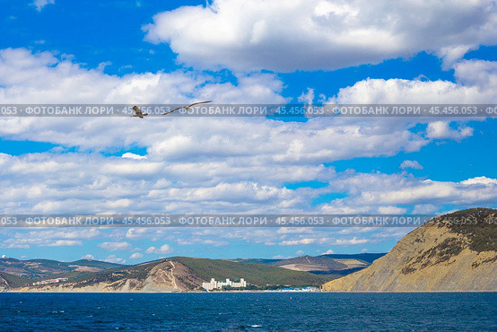Seascape. Seagulls are flying over the sea. Reserve Bolshoi Utrish. Стоковое фото, фотограф Коханова Наталья / Фотобанк Лори