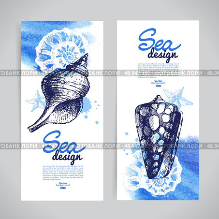 Seashell banners. Sea nautical design. Hand drawn sketch and watercolor illustrations. Стоковая иллюстрация, агентство Ingram Publishing / Фотобанк Лори