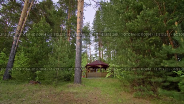 Secluded Forest Gazebo. A Wooden Retreat Among the Trees (2023 год). Редакционное видео, видеограф Даниил Хабаров / Фотобанк Лори