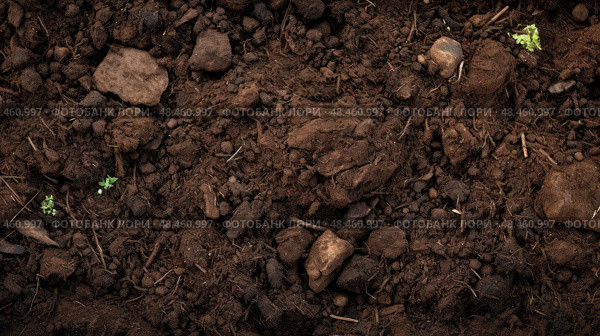 seeds dirt texture ai generated. Стоковое AI-изображение, AI-художник Vectorwin / Фотобанк Лори