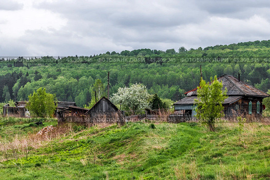 Село Суенга. Новосибирская область, Маслянинский район, Западная Сибирь России. (2024 год). Стоковое фото, фотограф Евгений Мухортов / Фотобанк Лори