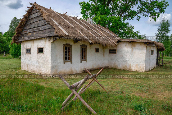 Сельский дом с соломенной крышей. Псковская область (2024 год). Стоковое фото, фотограф Анна Карасева / Фотобанк Лори