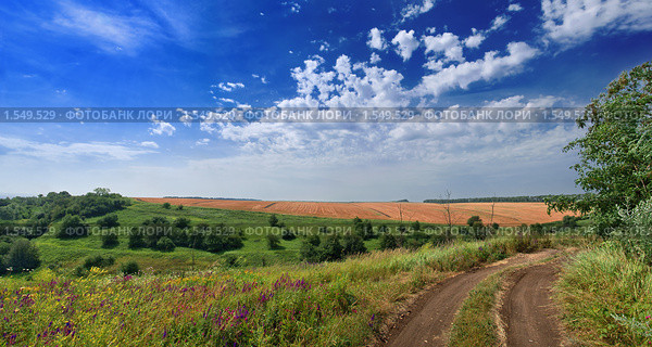Сельский пейзаж с грунтовой дорогой. Стоковое фото, фотограф Андрей Емельяненко / Фотобанк Лори