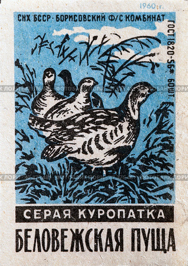 Серая куропатка. Серия: Беловежская пуща. Спичечные этикетки СССР. 1960. Редакционное фото, фотограф Сергей Афанасьев / Фотобанк Лори
