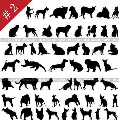 Set # 2 of different vector pets silhouettes for design use. Стоковая иллюстрация, агентство Ingram Publishing / Фотобанк Лори