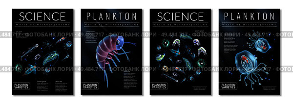 Set of four posters on theme of plankton varieties as template for magazine articles brochures book covers vector illustration. Стоковая иллюстрация, агентство Ingram Publishing / Фотобанк Лори